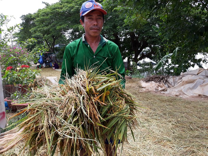 Dân miền Tây thiệt hại nặng vì... nước lũ - Ảnh 1.