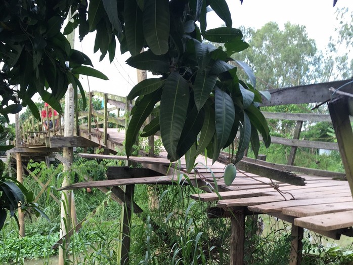 Khởi công cầu Dr Thanh - Lung Sen Dưới: Tân Hiệp Phát đem niềm vui về Cù lao Giêng - Ảnh 2. Khởi công cầu Dr Thanh - Lung Sen Dưới: Tân Hiệp Phát đem niềm vui về Cù lao Giêng - Ảnh 2.