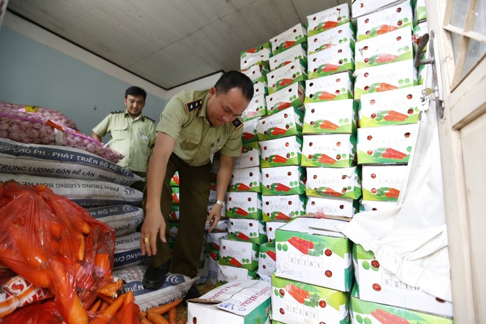 Tịch thu gần 4 tấn cà rốt Trung Quốc nhập lậu - Ảnh 1.
