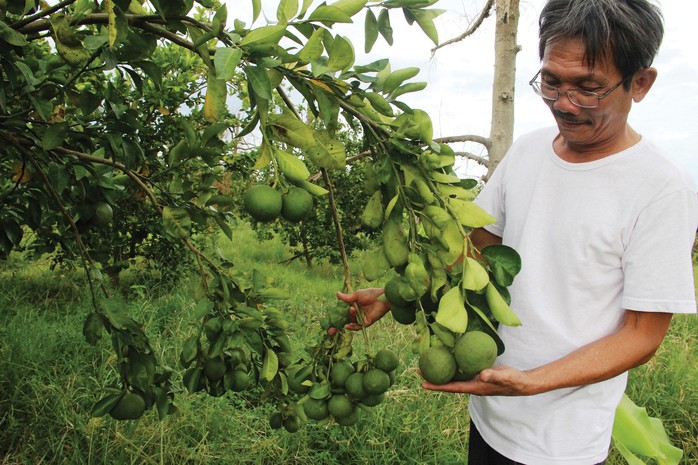 KỶ NIỆM NGÀY THƯƠNG BINH - LIỆT SĨ (27-7) (*): Gương sáng để noi theo - Ảnh 1.