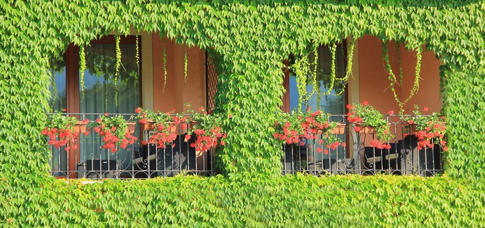 Những khung cửa sổ đẹp hút hồn nhờ sắc hoa rực rỡ - Ảnh 20. Những khung cửa sổ đẹp hút hồn nhờ sắc hoa rực rỡ - Ảnh 20.