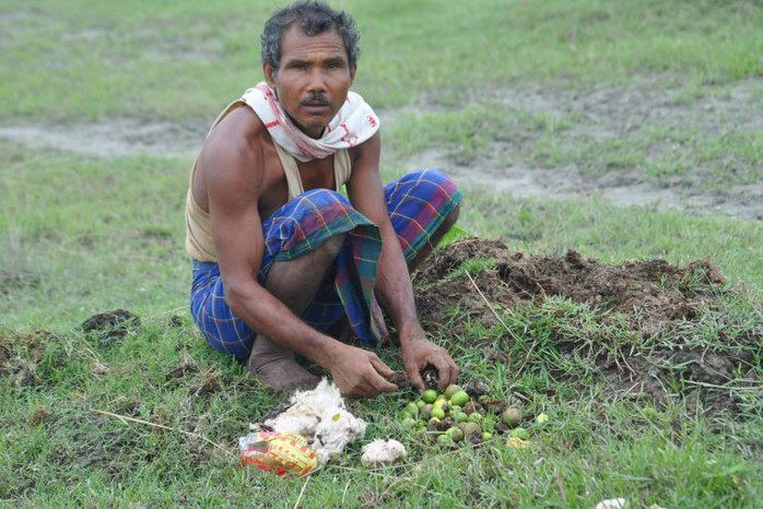 Người đàn ông một mình trồng rừng rộng 550 hectare trong 40 năm - Ảnh 3.