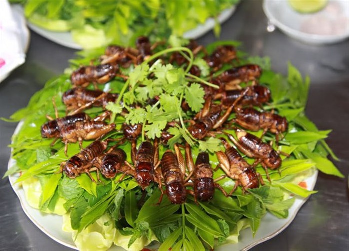 5 điểm du lịch lý tưởng cho gia đình Sài Gòn dịp lễ 2-9 - Ảnh 8. 5 điểm du lịch lý tưởng cho gia đình Sài Gòn dịp lễ 2-9 - Ảnh 8.