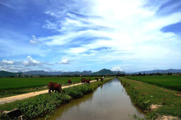 Chấm dứt việc thu phí lạ ở Quảng Bình và trả lại tiền cho dân - Ảnh 2.