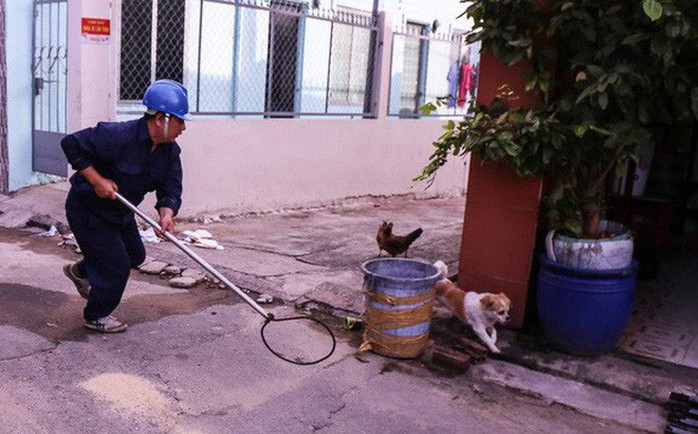 Bắt chó thả rông giữa trung tâm Sài Gòn - Ảnh 1.