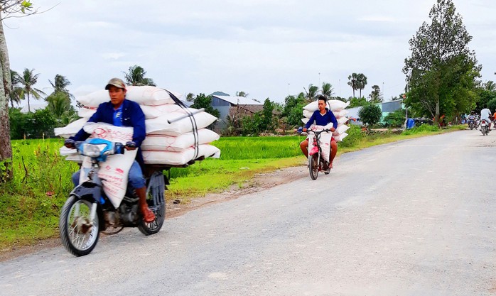 Buôn lậu nườm nượp ở vùng biên - Ảnh 1.