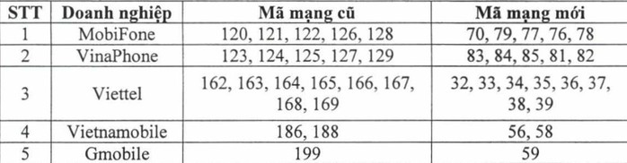 Thị trường SIM 11 số náo loạn trước giờ G - Ảnh 2.