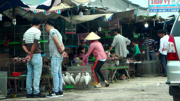 Cận cảnh tàn sát chim trời ở chợ chim lớn nhất Miền Tây - Ảnh 4. Cận cảnh tàn sát kèo nhà cái tỷ lệ bóng đá trời ở chợ kèo nhà cái tỷ lệ bóng đá lớn nhất Miền Tây - Ảnh 4.