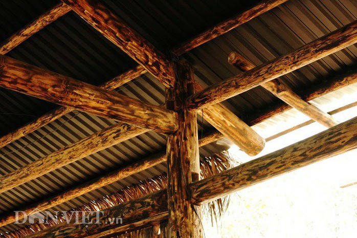 photo-8