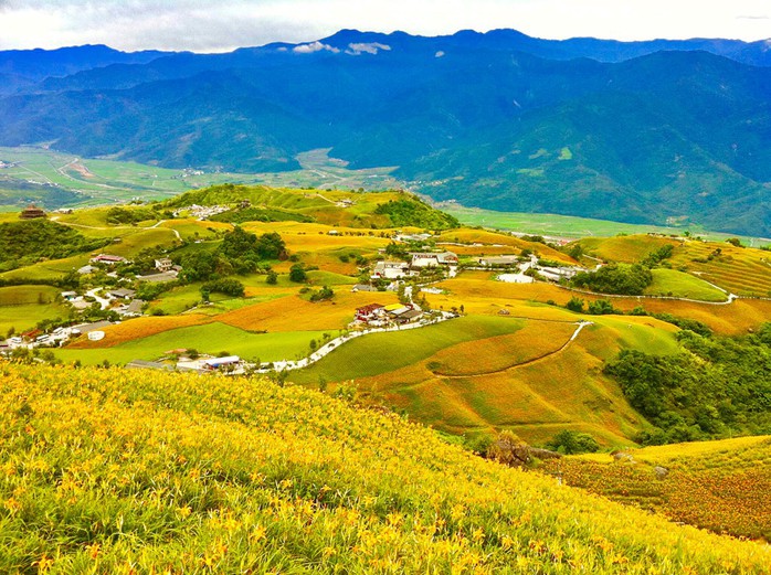 Chiêm ngưỡng xứ sở hoa kim châm đẹp như tranh vẽ ở Đài Loan - Ảnh 10.