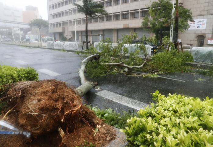 Chưa hồi phục sau bão Jebi, Nhật Bản lại hứng bão Trami - Ảnh 4.
