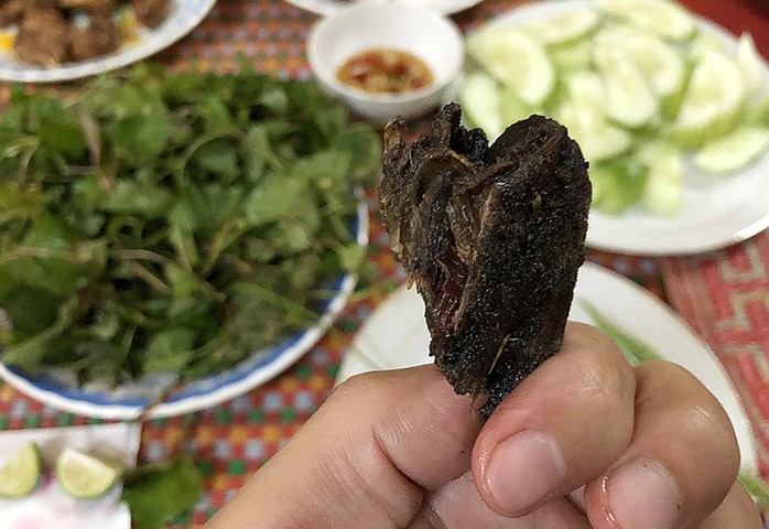 Đặc sản chuột ăn hạt sâm đãi khách quý ở núi Ngọc Linh - Ảnh 9. Đặc sản chuột ăn hạt sâm đãi khách quý ở núi Ngọc Linh - Ảnh 9.