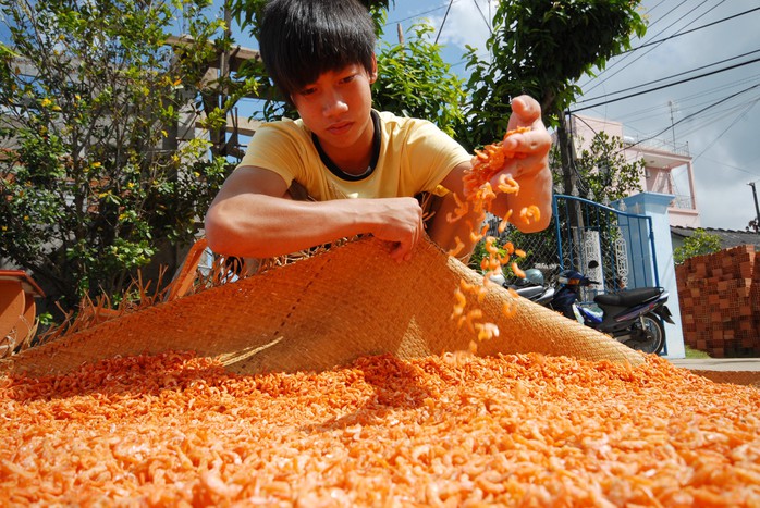 Làng nghề tất bật đón Tết - Ảnh 1.