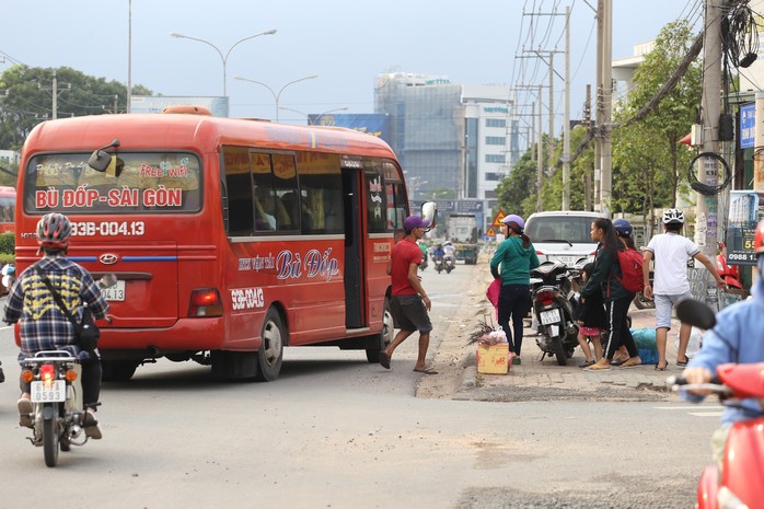 Xe dù, bến cóc vào mùa - Ảnh 1.