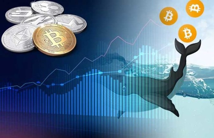 ‘Cá voi’ thức giấc - thị trường Bitcoin sắp biến động lớn? - Ảnh 1.