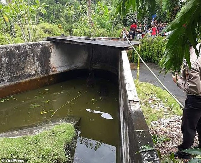 Cá sấu nhảy lên tường cao 2,5 m, giết chết nhà khoa học nữ - Ảnh 3.