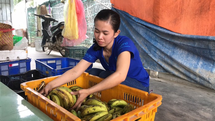 Chương trình “Xuân nhân ái - Tết yêu thương” (*): Sống vui, sống có ích - Ảnh 1.