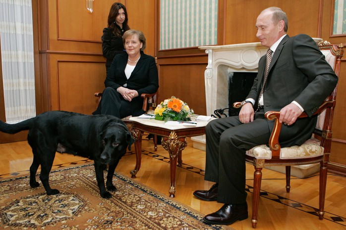 Tổng thống Putin được tặng quà đặc biệt ở Serbia - Ảnh 3.