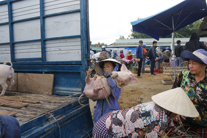 Nghề độc ở chợ heo lớn nhất Quảng Nam - Ảnh 35.
