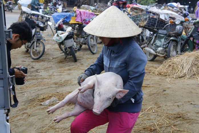 Nghề độc ở chợ heo lớn nhất Quảng Nam - Ảnh 27.