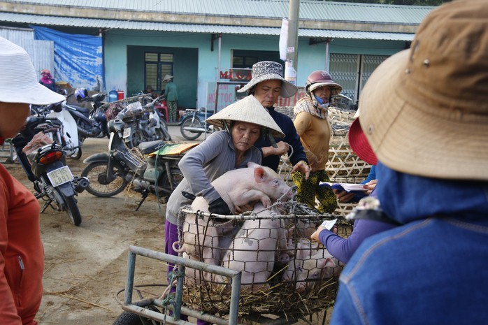 Nghề độc ở chợ heo lớn nhất Quảng Nam - Ảnh 13.