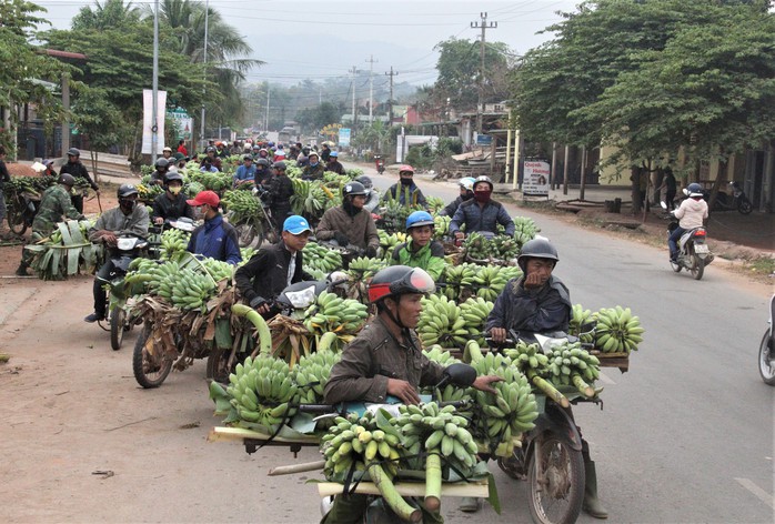 Nhộn nhịp chợ chuối vùng biên lớn nhất Quảng Trị - Ảnh 1.
