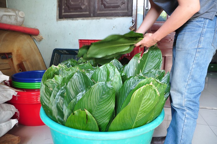Làng bánh chưng mỗi ngày xuất hàng chục tấn ở Đồng Nai - Ảnh 8. Làng bánh chưng mỗi ngày xuất hàng chục tấn ở Đồng tỷ lệ kèo nhà cái - Ảnh 8.