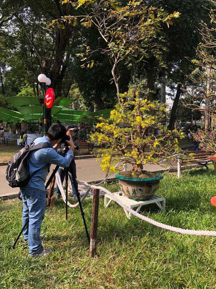 Mai là điểm nhấn của Hội Hoa Xuân Tao Đàn - Ảnh 12. Mai là điểm nhấn của Hội Hoa Xuân Tao Đàn - Ảnh 12.