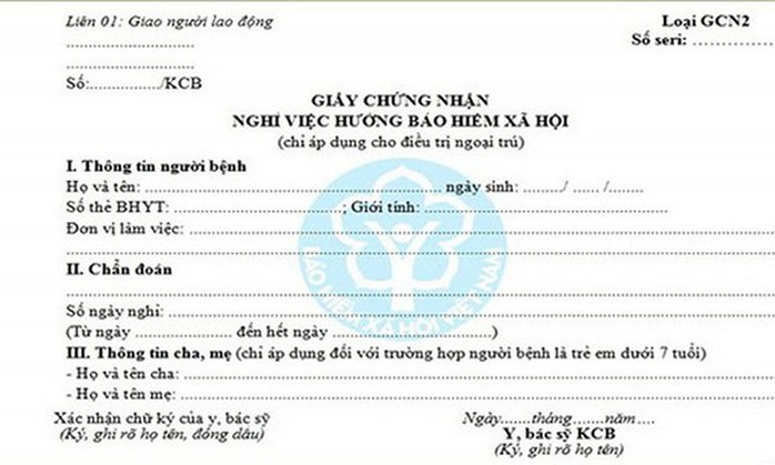 Hướng dẫn đăng ký cấp giấy chứng nhận nghỉ việc hưởng BHXH - Ảnh 1.