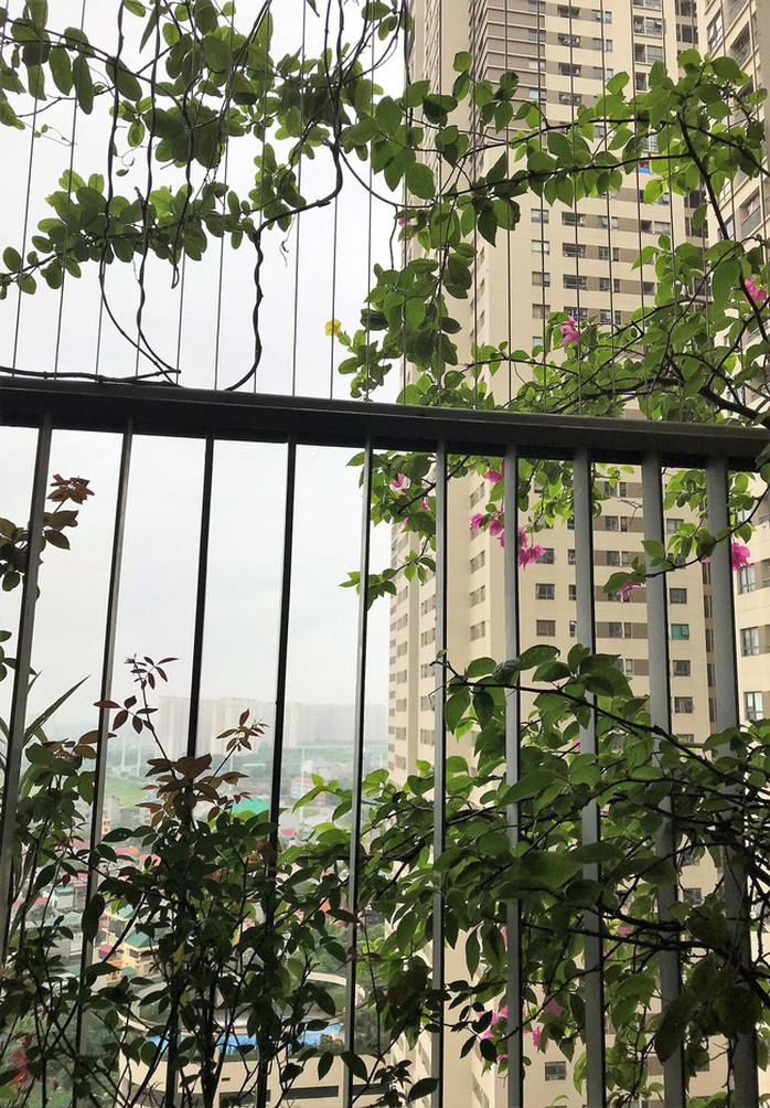 Căn nhà đầu tiên và bài học nhớ đời - Ảnh 1. Căn nhà đầu tiên và bài học nhớ đời - Ảnh 1.
