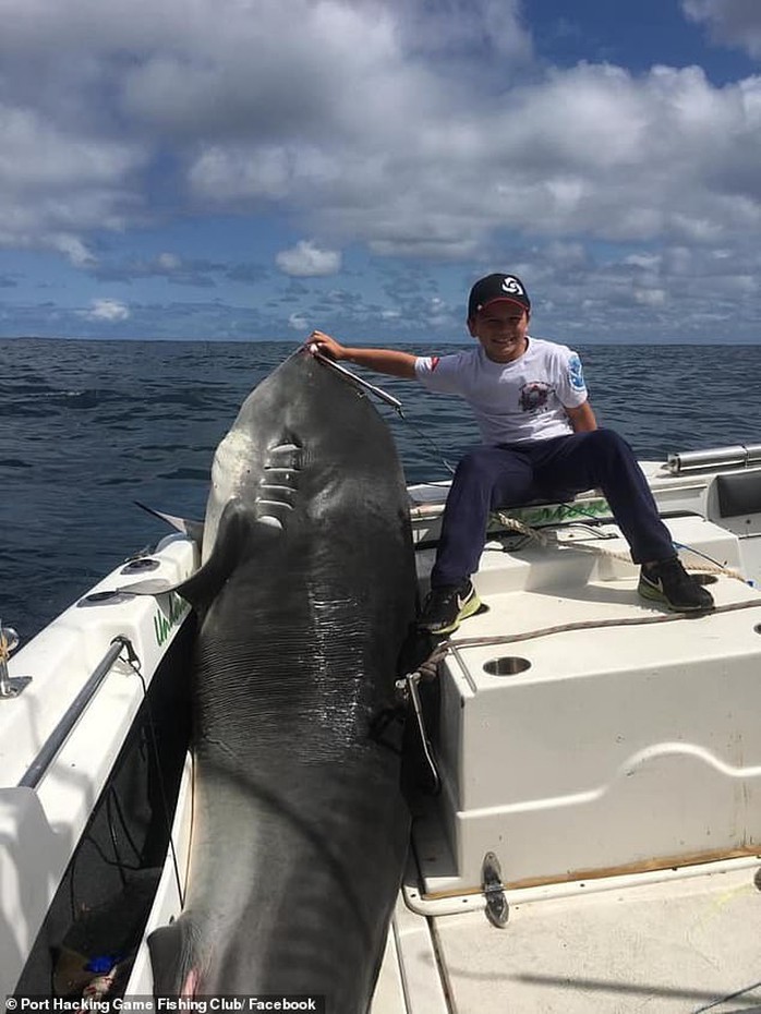 Cá mập 314 kg thất thủ trước bé trai 8 tuổi - Ảnh 1.