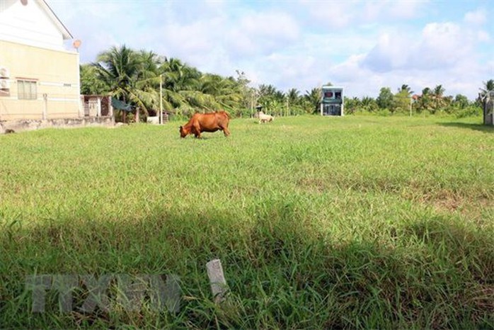 Kiểm soát chặt chẽ việc phân lô bán nền tự phát - Ảnh 1. Kiểm soát chặt chẽ việc phân lô bán nền tự phát - Ảnh 1.