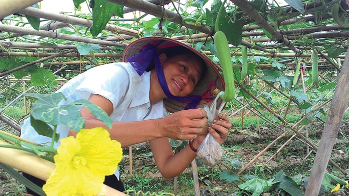 Cuộc thi ảnh Nét đẹp lao động: Cần mẫn giữa đời - Ảnh 6.