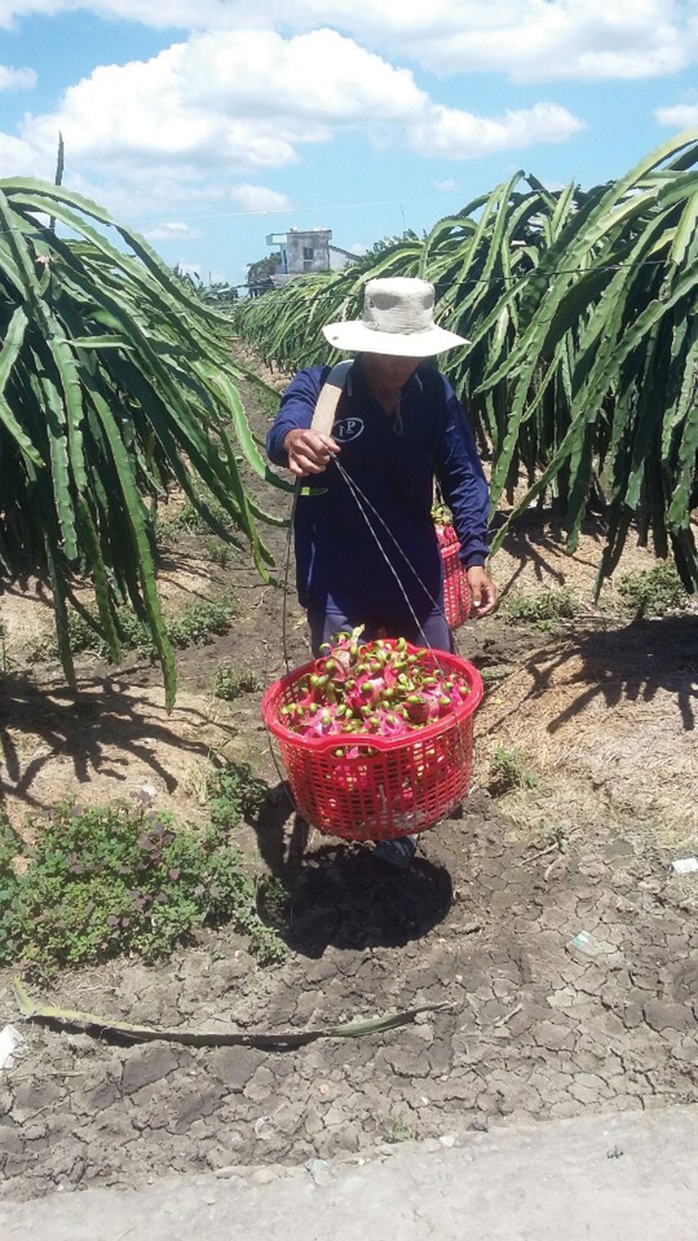 Cuộc thi ảnh Nét đẹp lao động: Cần mẫn giữa đời - Ảnh 4.