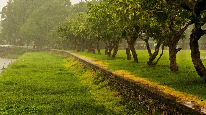 Khoảnh khắc mưa lãng mạn ở Huế  - Ảnh 10.