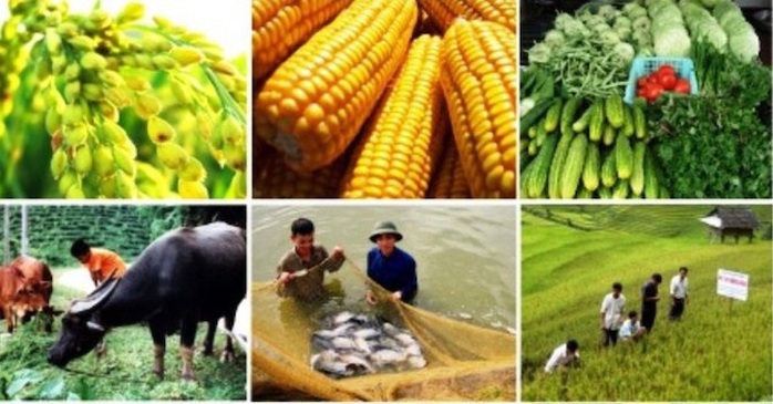 Ngân hàng đang bỏ lỡ cho vay theo chuỗi cung ứng? - Ảnh 1. Ngân hàng đang bỏ lỡ cho vay theo chuỗi cung ứng? - Ảnh 1.