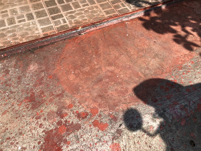 Nhà của một lương y ở TP HCM liên tục bị tạt sơn, chất bẩn - Ảnh 3.