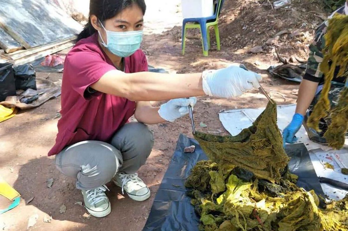 Mổ xác nai già, thấy 7 kg rác nhựa và... đồ lót - Ảnh 1.