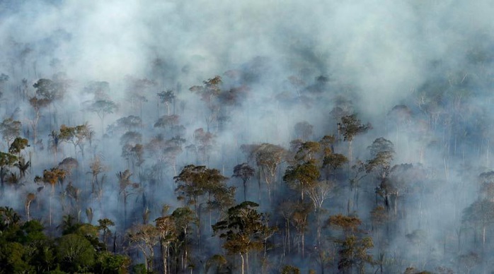 Tổng thống Brazil đổ lỗi Leonardo DiCaprio vụ cháy rừng Amazon - Ảnh 2.