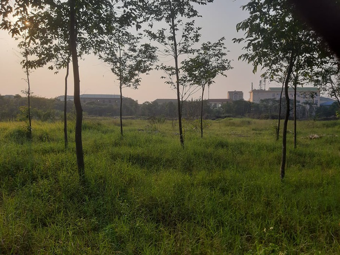 Cận cảnh khu “đất vàng” xây dựng trụ sở ngàn tỉ bỏ hoang của tỉnh nghèo Nghệ An - Ảnh 8.