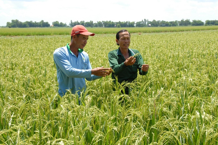 Hành động mới cho nông nghiệp, nông dân - Ảnh 1.