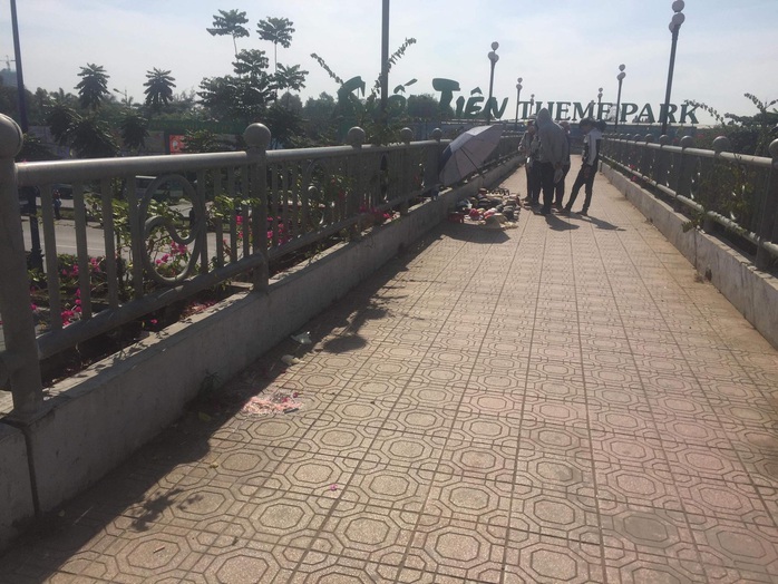 Công an nói gì về việc nữ sinh viên tử vong trên cầu vượt bộ hành gần Suối Tiên? - Ảnh 1.