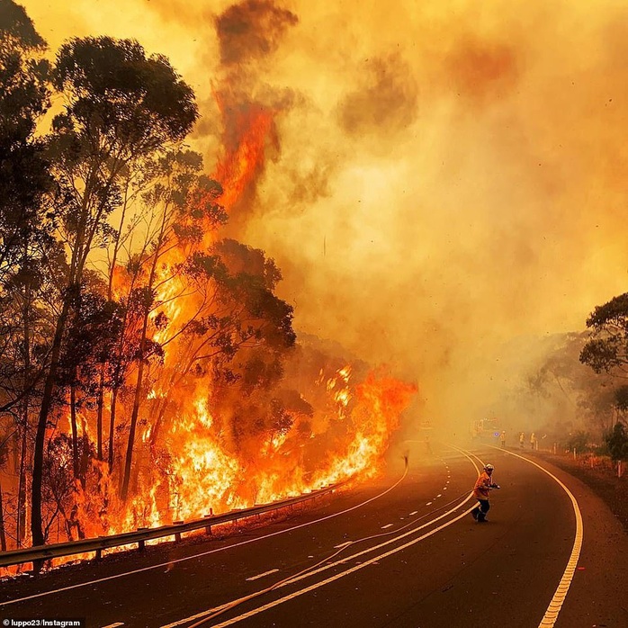 Cháy rừng bao vây Sydney, xe cứu hỏa tông trúng cây, 2 người hy sinh - Ảnh 6.