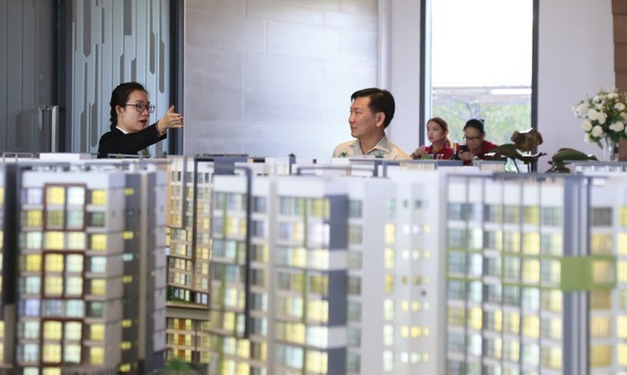Cuối năm, bất động sản phía Nam lại tái diễn cảnh “treo dê bán chó” - Ảnh 2. Cuối năm, bất động sản phía Nam lại tái diễn cảnh “treo dê bán chó” - Ảnh 2.