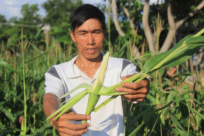 Hộ nghèo thêm khó khăn sau khi... nhận hỗ trợ: Giao doanh nghiệp độc quyền cung ứng - Ảnh 1.