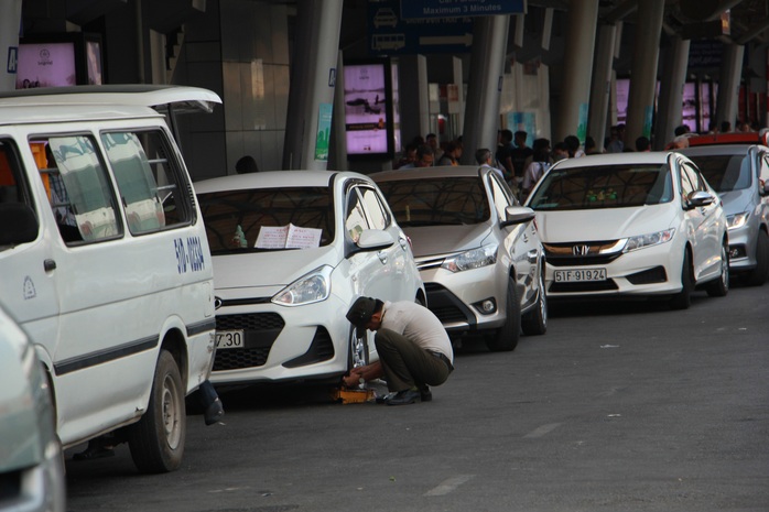 Nhiều tài xế bị tước bằng lái tại sân bay Tân Sơn Nhất - Ảnh 1.