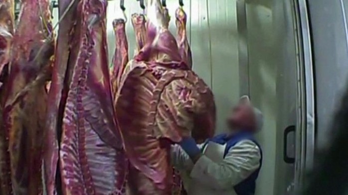 Ba Lan xuất khẩu thịt bò bệnh sang 10 nước EU - Ảnh 1.