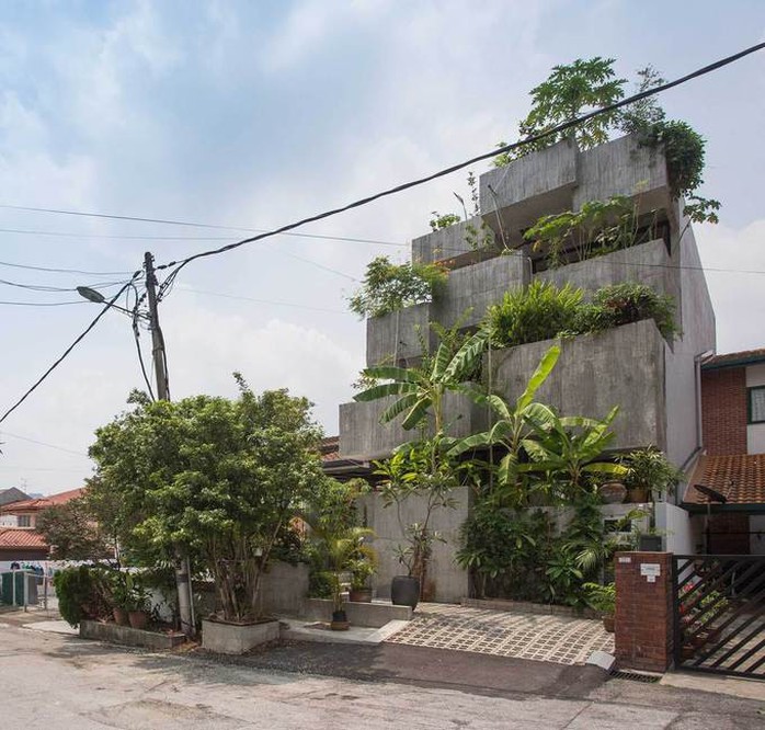 Ngôi nhà như rừng nhiệt đới với hơn 40 loại cây - Ảnh 2. Ngôi nhà như rừng nhiệt đới với hơn 40 loại cây - Ảnh 2.