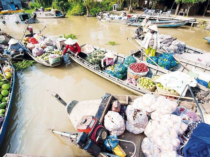 Người đàn bà chòng chành trên chiếc ghe nhỏ ở Ngan Dừa - Ảnh 1.