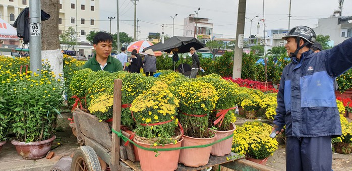 Đà Nẵng: Mai Tết đầy chợ, người mua thưa thớt - Ảnh 12.